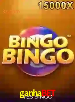 bingobingo